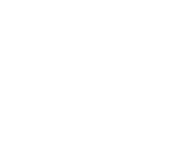 LOGO TOG